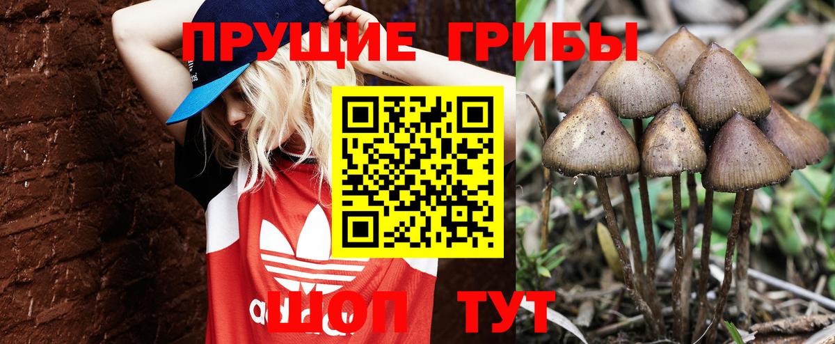 Псилоцибиновые грибы Magic Shrooms Янаул