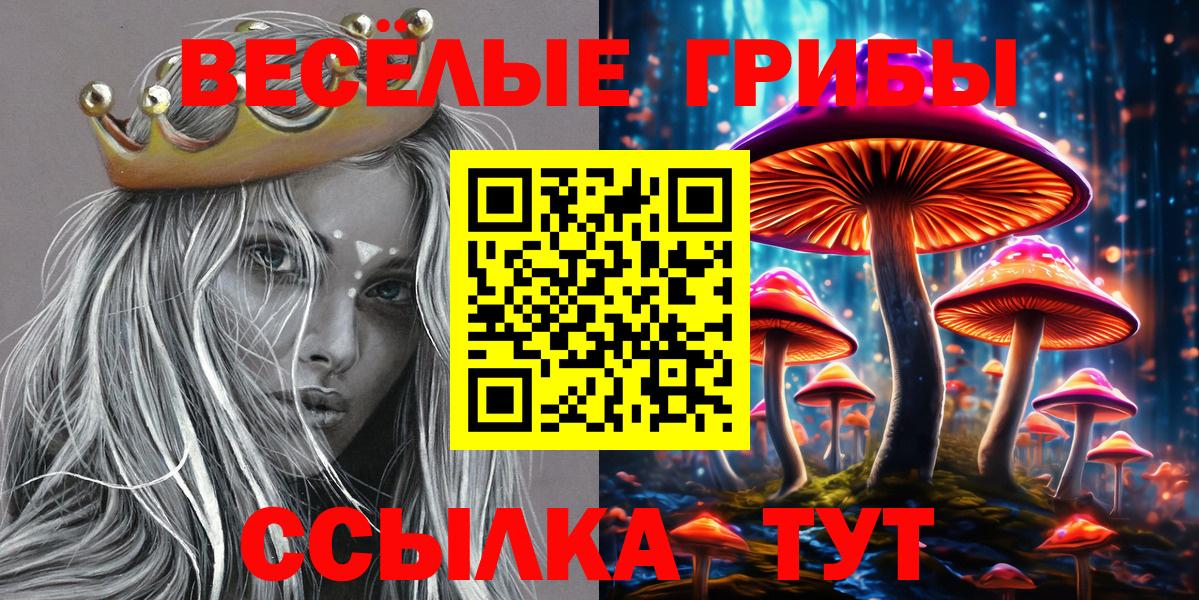 Псилоцибиновые грибы Cubensis  Вход с VPN  Галлюциногенные грибы GOLDEN TEACHER  Янаул 